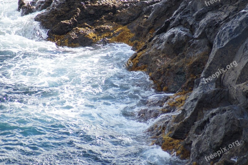 Surf Flood Wave Spray Wind