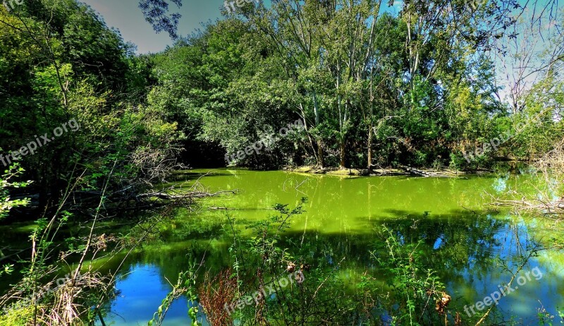 Lake Trees Landscape Water France