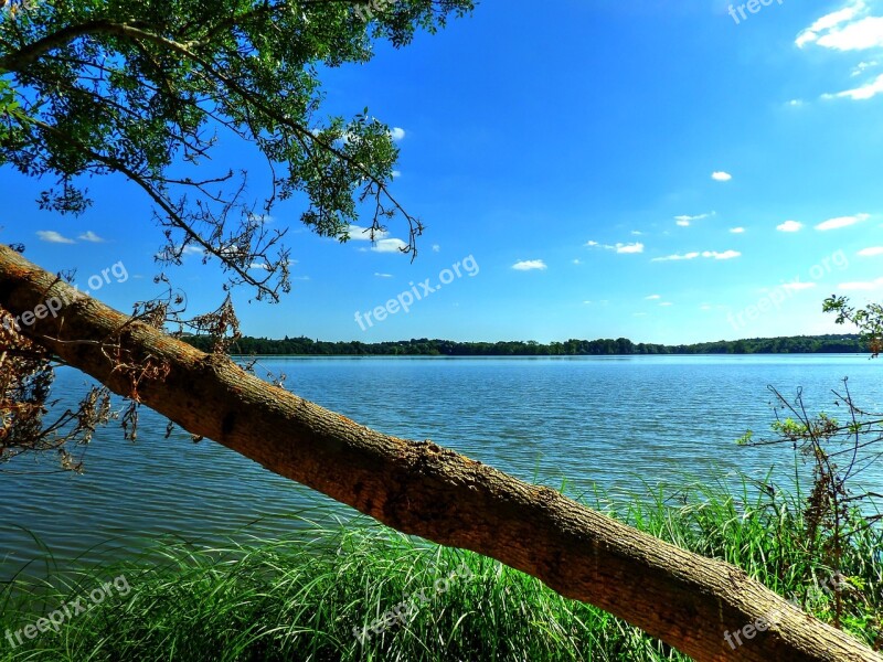 Trunk Lake Trees Landscape Water