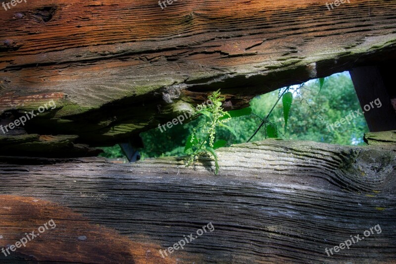 Boat Ship Kahn Old Wood