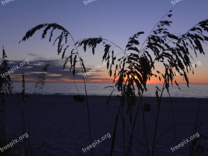 Sunset Tropical Sea Oats Beach Water