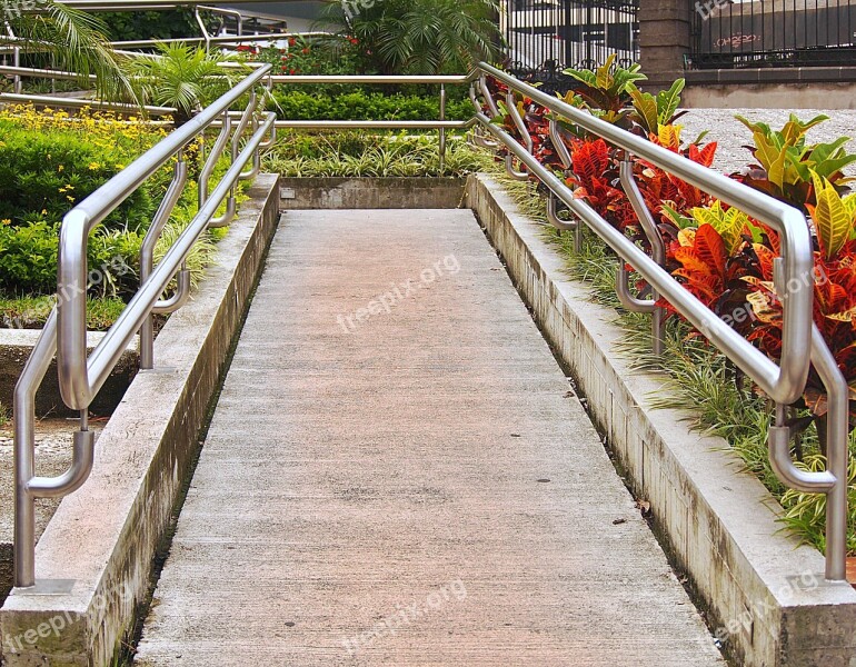 Path Hall Ascent Rails Flowers