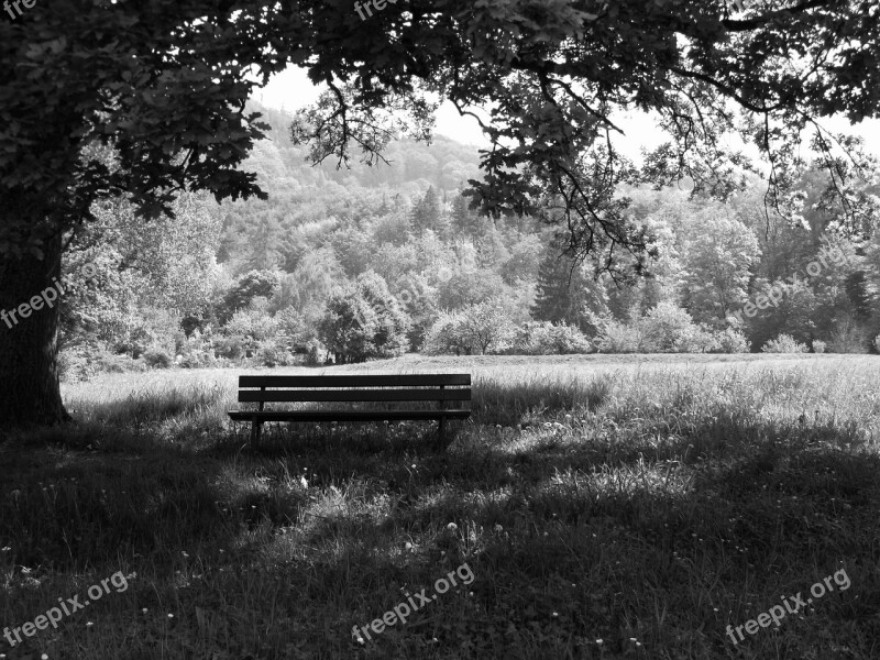 Bank Park Bench Recovery Rest Bench