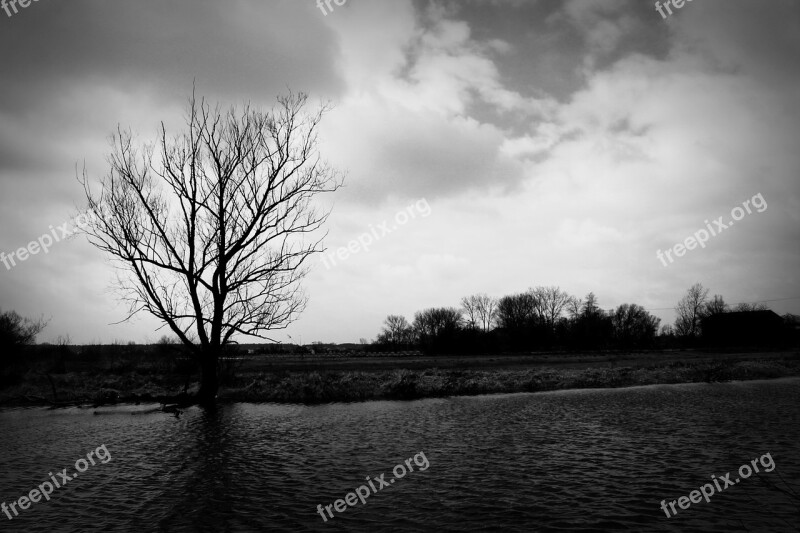 Tree Water Landscape Nature The Beauty Of Nature