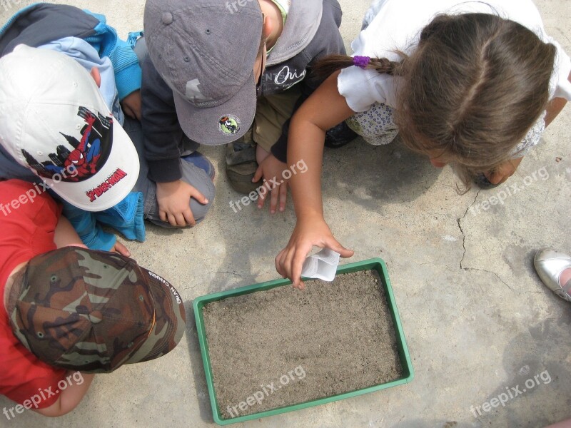 Environmental Education Nature Activities Children Free Photos