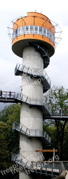 Tower Treetop Path View Thuringia Germany Thuringian Forest