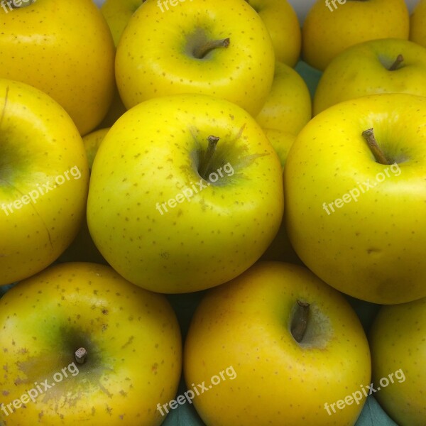 Ringo Apple Yellow Seiyu Ltd Living