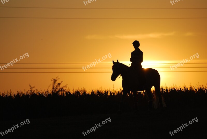 Horseback Riding Sunset Horse Jockey Silhouette