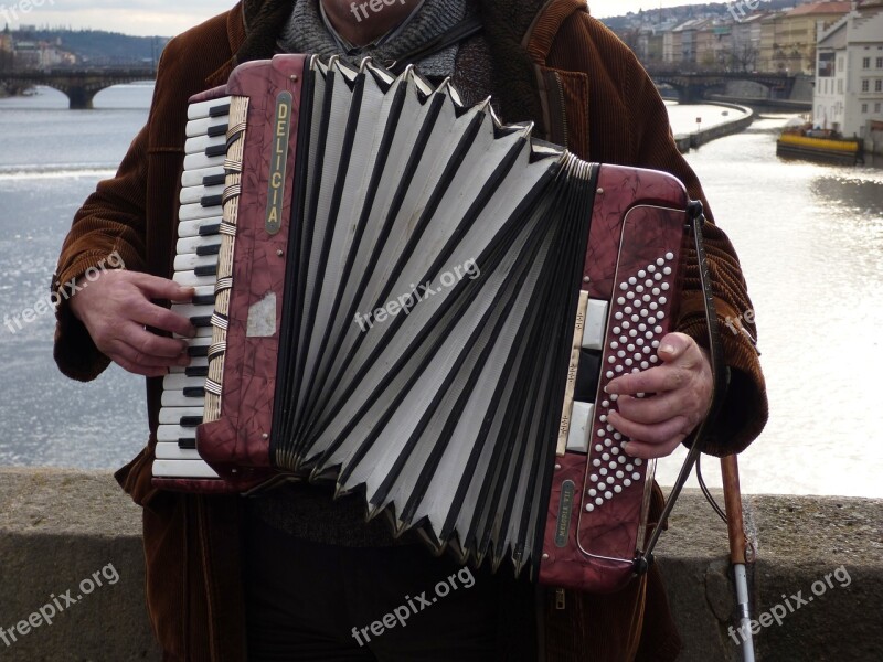 Accordion The Harmony Playing Play Musician