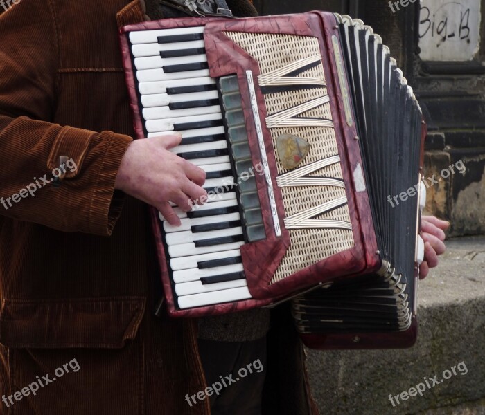 Accordion The Harmony Playing Play Musician