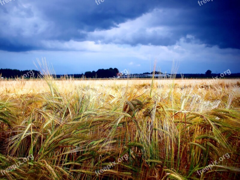 Grain Hurricane Threat Thunder Cloud Zomerbui