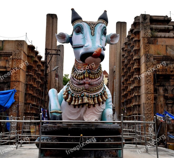 Bull Pudumadapam Madurai Traditional Hindu