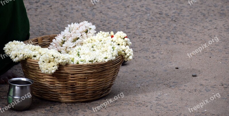 Jasmine Madurai Flower Seller Traditional