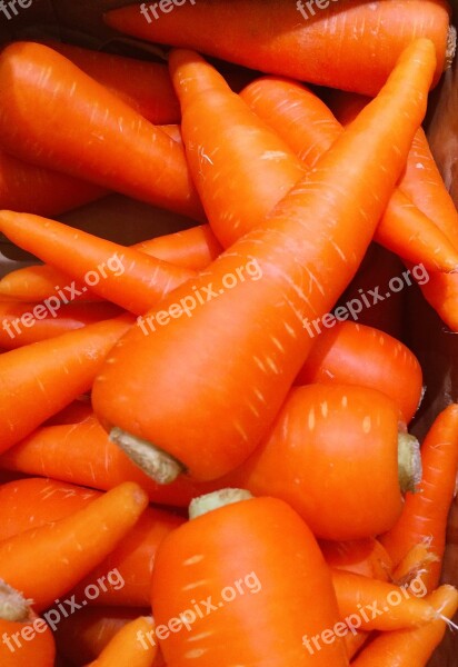 Carrot Orange Seiyu Ltd Living Supermarket