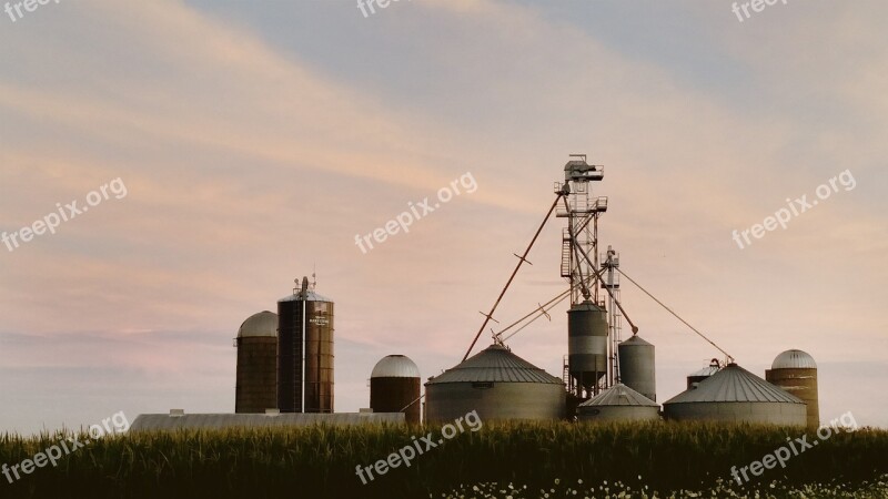 Farm Dairy Dairy Farm Agriculture Rural