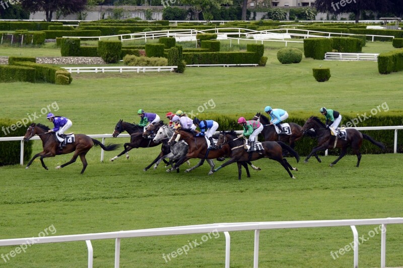 Horse Racing Racecourse Competition Jokey Horses