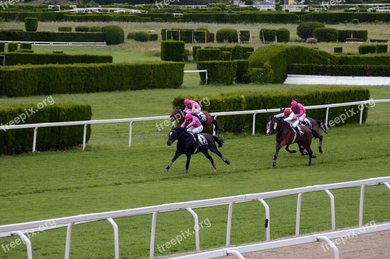 Horse Racing Racecourse Competition Jokey Horses