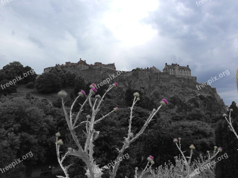 Edinburgh Castle Thistle Edinburgh Free Photos