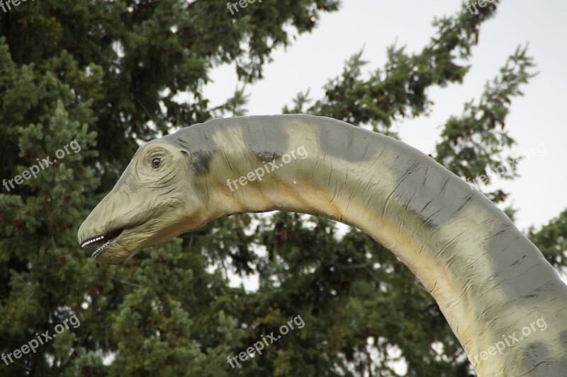 Dino Dinosaur Long Neck Dinosaur Prehistoric Times Giant Lizard