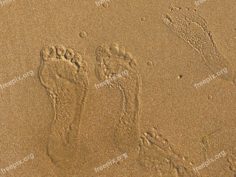 Sand Sea Footprint Tracks In The Sand Free Photos