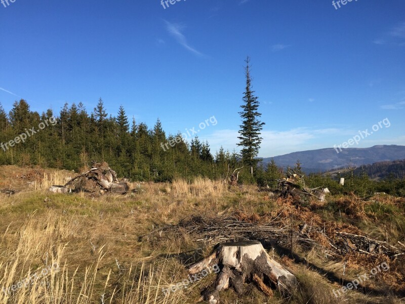 Mountains Wisla Forest Free Photos