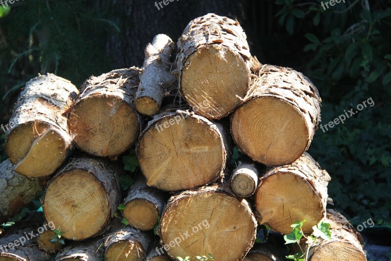 Wood Chopped Wood Pile Lumber Timber