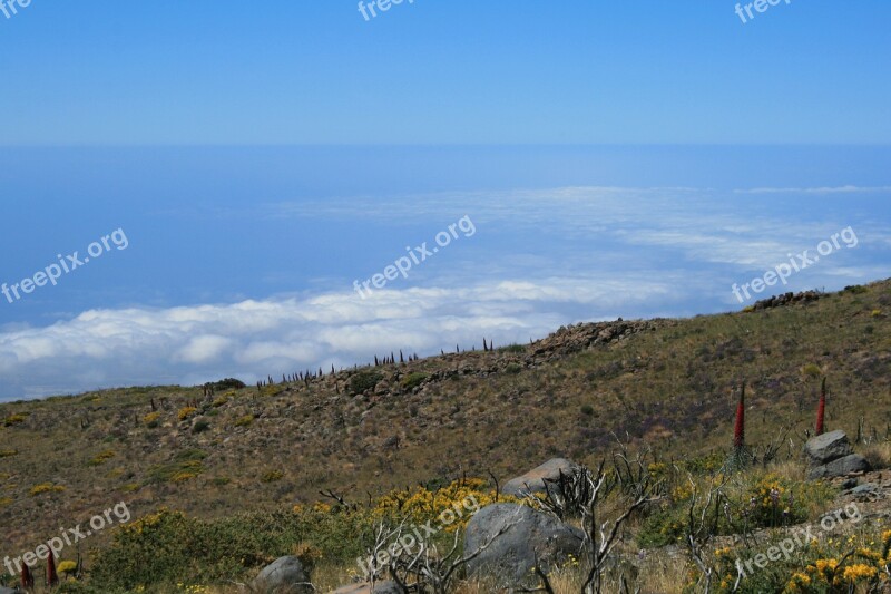 Canary Islands Teide National Park Tenerife Spain Teide