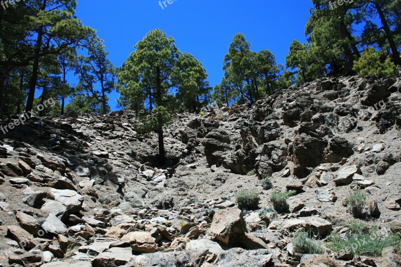 Canary Islands Teide National Park Tenerife Spain Teide