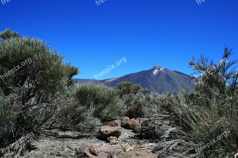 Canary Islands Teide National Park Tenerife Spain Teide