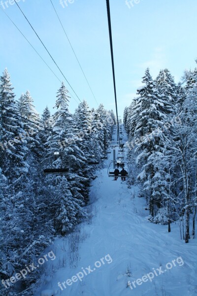 French-speaking Switzerland Snow Trees Wintry Cold