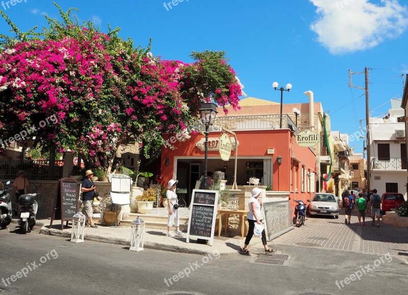 Crete Greece Bougainvillea Restaurant Flowers