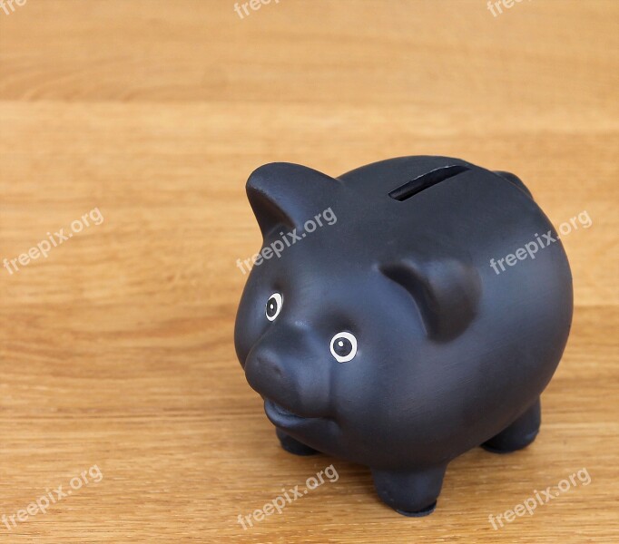 Piggy Bank Money Box Pig Sort Money