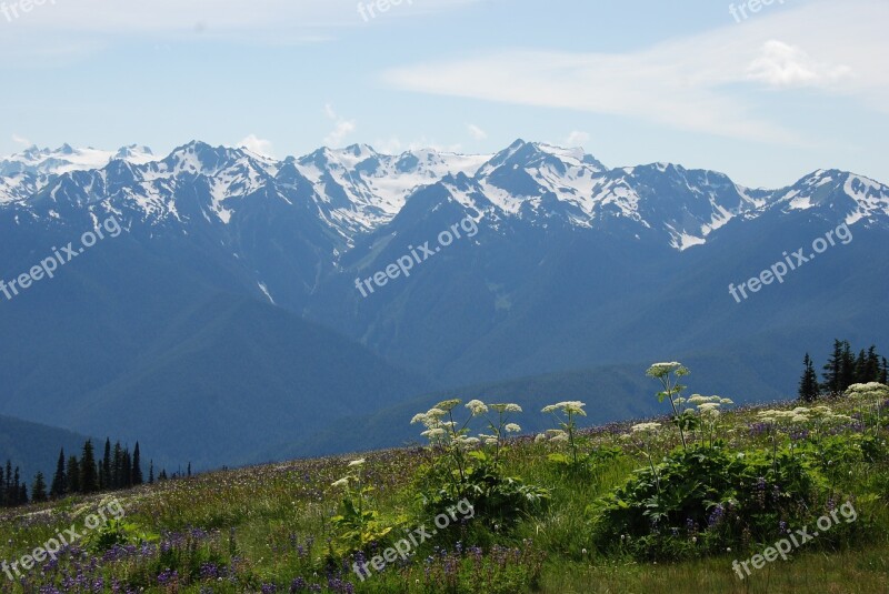 Mountain Mountain Ridge Ridge Mountain Flora Snow