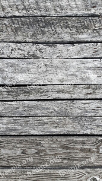 Wood Texture Paint Wall Color