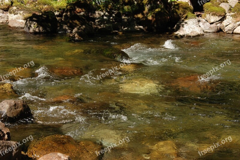 Water Brook Flow River Bright