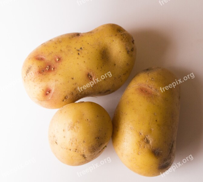 Potato Potatoes Food Vegetable Fresh