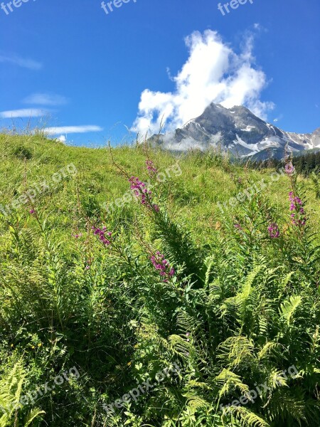 Mountain Meadow Mountain Flower Clouds Landscape Glarus