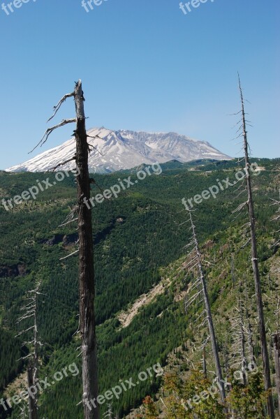 Volcano Eruption Mount Saint Helens Bald Destruction