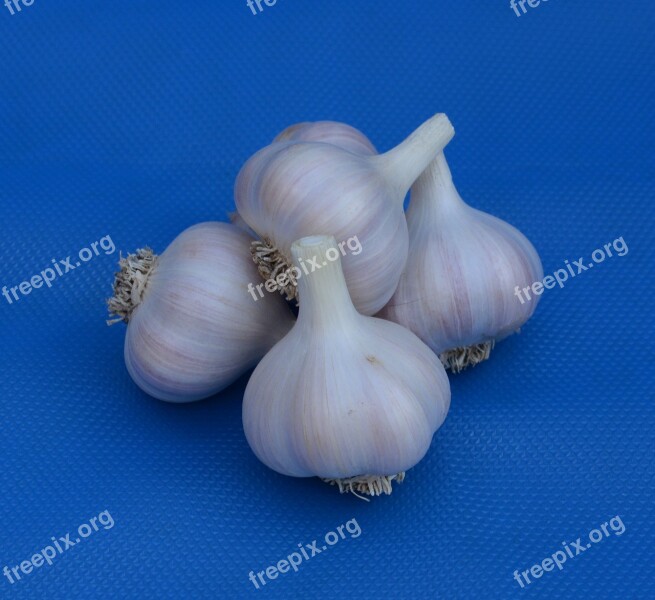 Garlic Bulb White Vegetable Free Photos