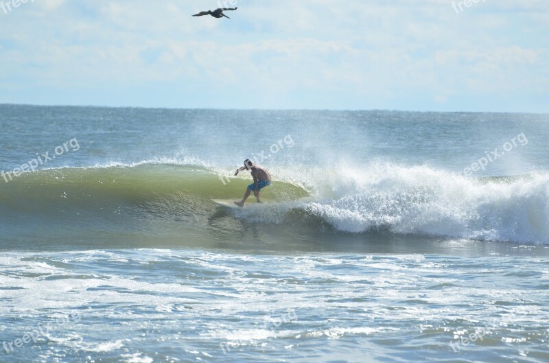 Surfer Surfing Ocean Water Beach