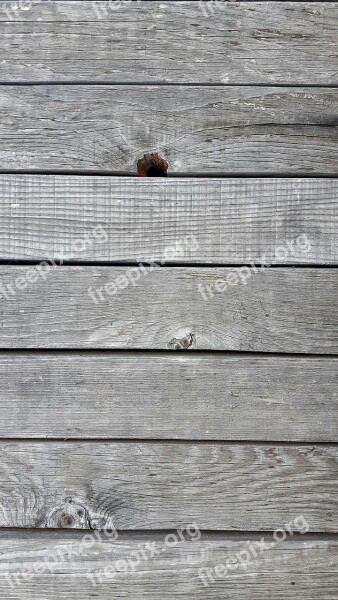 Wood Texture Plant Door Old