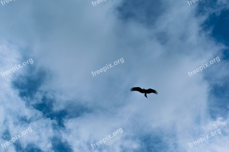 Blue Sky Clouds Weather Lookup Sky