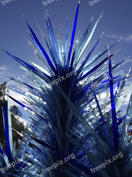 Chihuly Botanic Gardens Denver Artist Glass