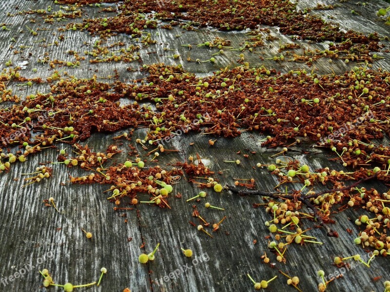 Wood Flowers Nature Weathered Table