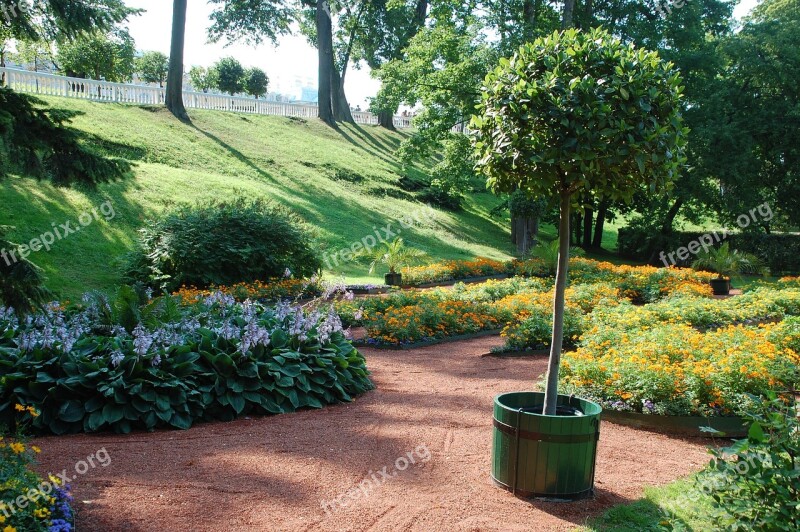 Tree Barrel Landscape Summer Flowers