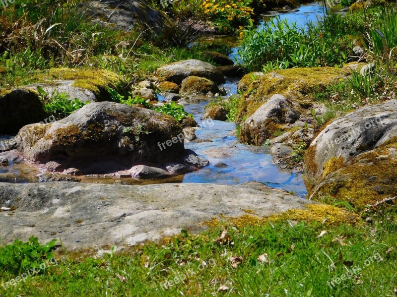 River Small River Bach Water Nature