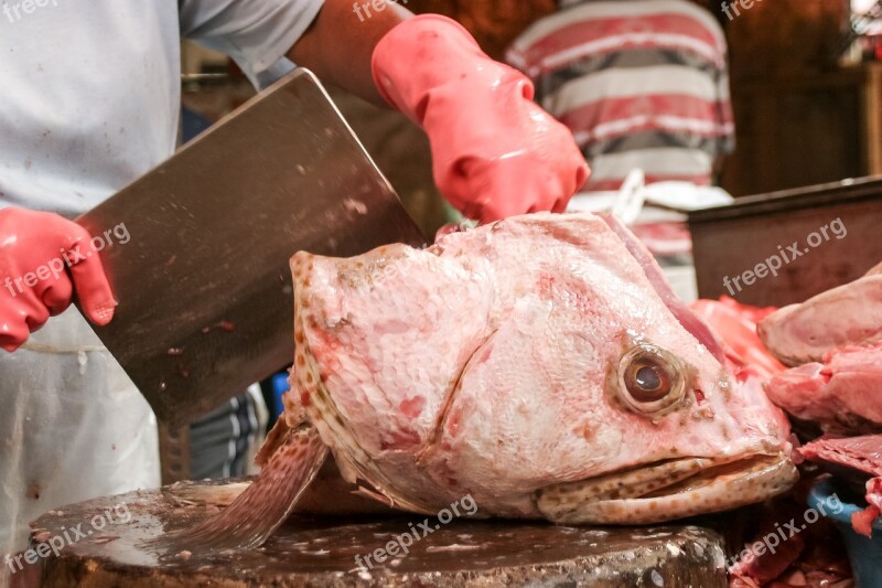 Fish Head Eye The Market Kuala Lumpur