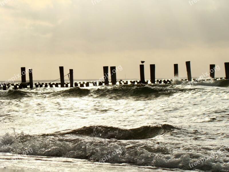 Beach Baltic Sea Sea Web Water