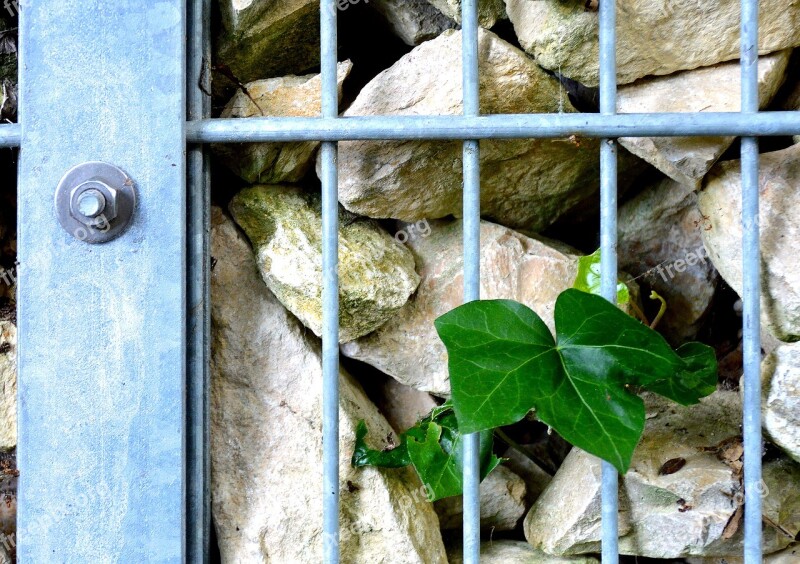 Grid Stones Leaf Gabion Wall