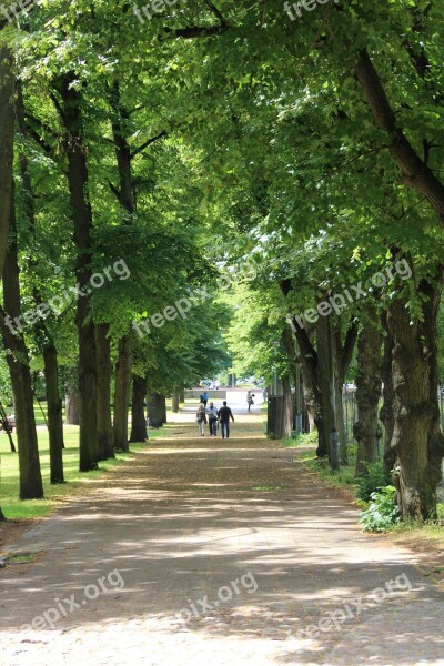 Forest Path Stadtwald Idyll Green Walk